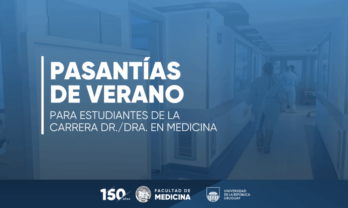 Inscripciones abiertas a las pasantías de verano 2025