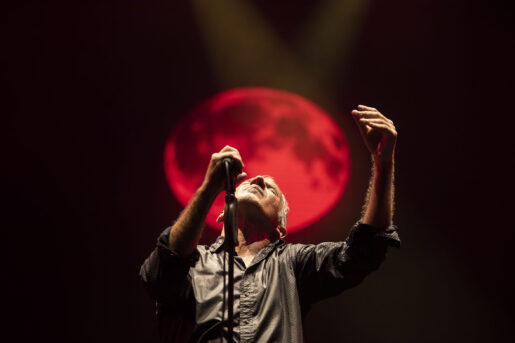 Foto tomada de buitres.com.uy