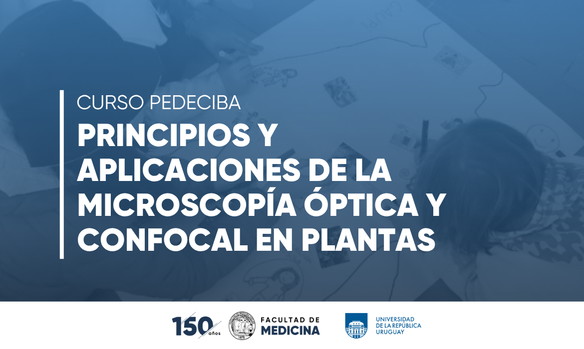 Curso PEDECIBA “Principios y aplicaciones de la microscopía óptica y confocal en plantas”