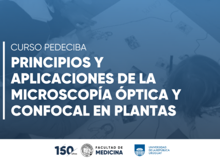 Curso PEDECIBA “Principios y aplicaciones de la microscopía óptica y confocal en plantas”
