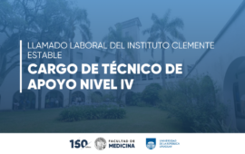 Llamado laboral para Técnico/a de Apoyo Nivel IV en el IIBCE